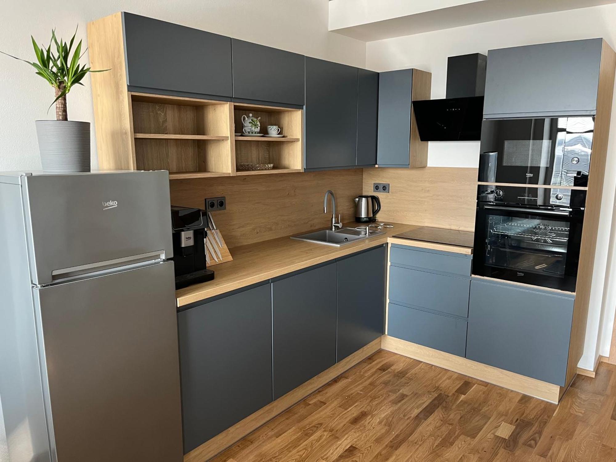 Rezidence U Vankovky Apartament