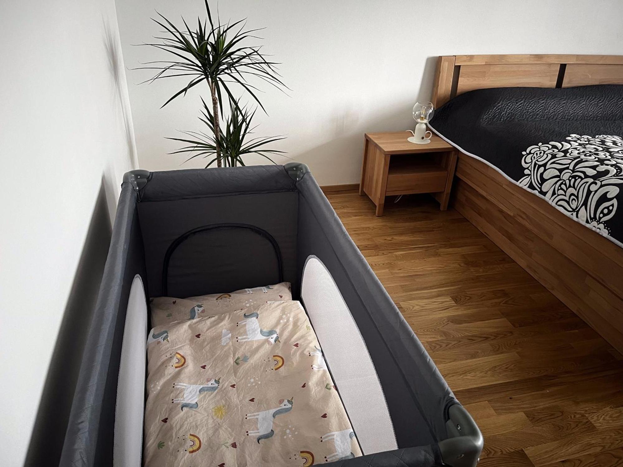 Rezidence U Vankovky Apartmán *